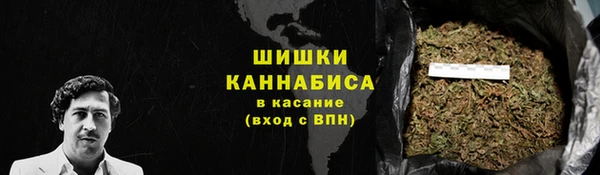 индика Белоозёрский