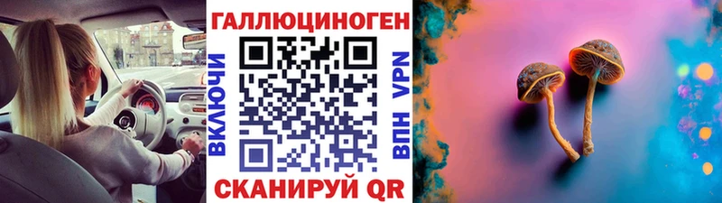 где купить   ссылка на мегу ССЫЛКА  Псилоцибиновые грибы мухоморы  Борисоглебск 